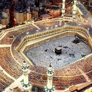 Meet your Posher, Mona mohamed